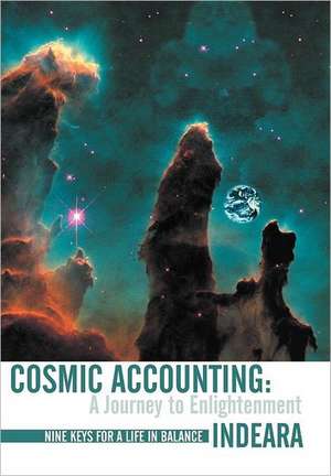 Cosmic Accounting de Indeara Hanoomansingh