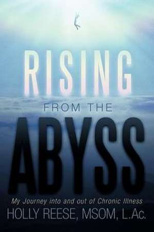 Rising from the Abyss de Holly Reese Msom L. Ac