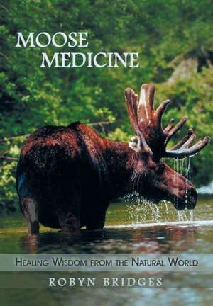 Moose Medicine de Robyn Bridges