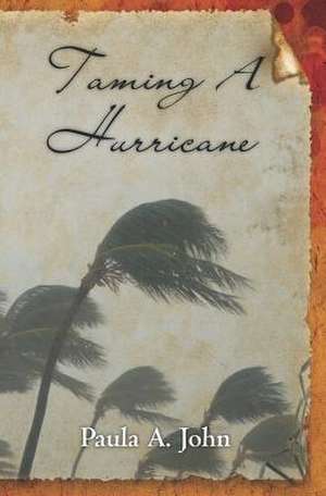 Taming a Hurricane de Paula A. John