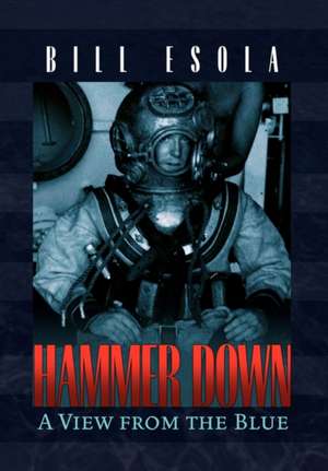 Hammer Down de Bill Esola