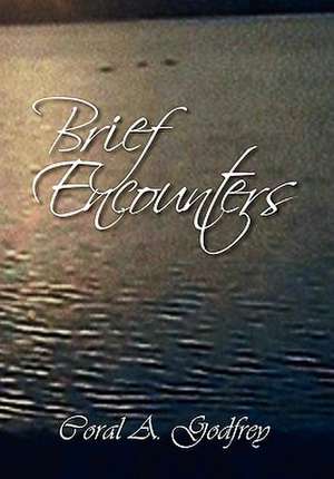 Brief Encounters de Coral A. Godfrey