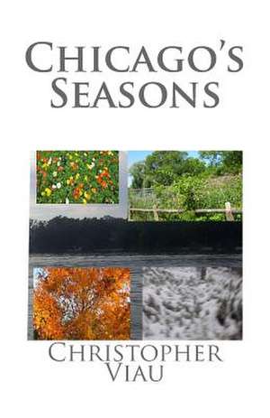 Chicago's Seasons de Christopher Viau