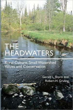 The Headwaters de Gerald L. Storm