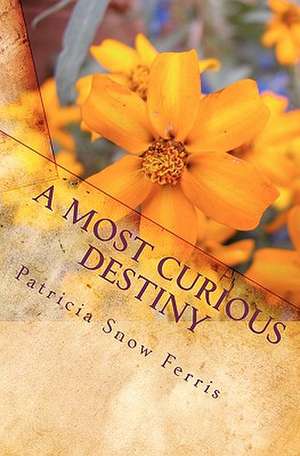 A Most Curious Destiny de Patricia Snow Ferris