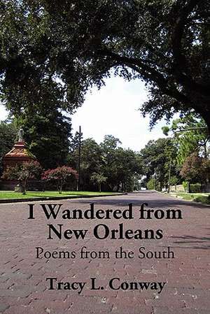 I Wandered from New Orleans de Tracy L. Conway