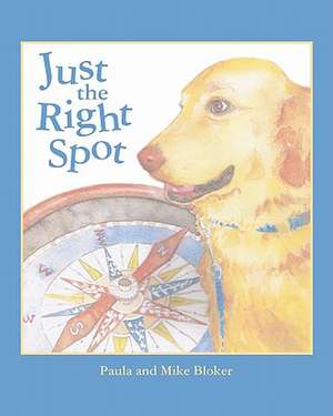 Just the Right Spot de Paula Bloker