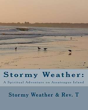 Stormy Weather de Rev T