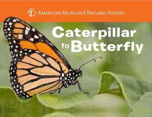 Caterpillar to Butterfly de Melissa Stewart