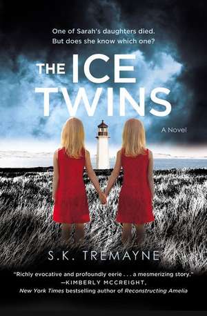 Ice Twins de S K Tremayne