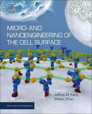 Micro- and Nanoengineering of the Cell Surface de Jeffrey M Karp