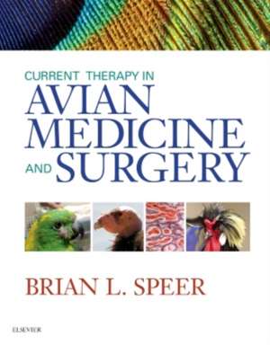 Current Therapy in Avian Medicine and Surgery de Brian Speer