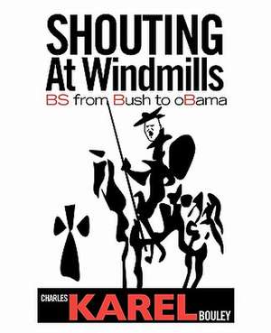 Shouting at Windmills de Charles Karel Bouley II