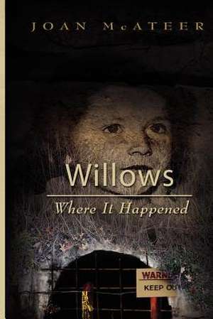 Willows Where It Happened de Mrs Joan McAteer