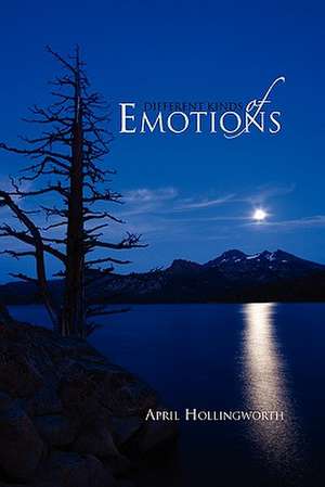 Different Kinds of Emotions de April Hollingworth