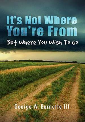 It's Not Where You're from But Where You Wish to Go de George W. III Burnette