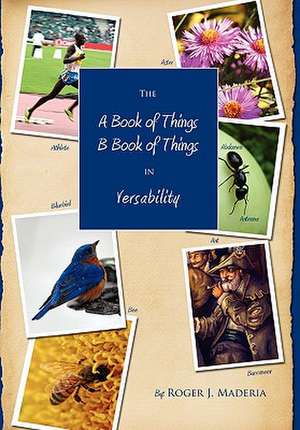 The a Book of Things, B Book of Things de Roger Maderia