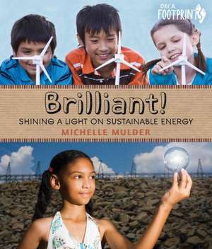 Brilliant!: Shining a Light on Sustainable Energy de Michelle Mulder