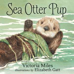 Sea Otter Pup de Victoria Miles