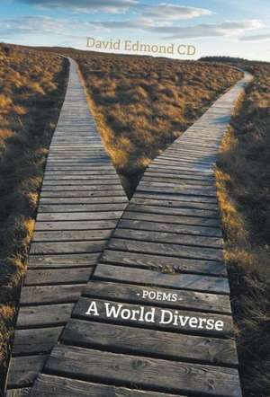 A World Diverse de David Edmond Cd