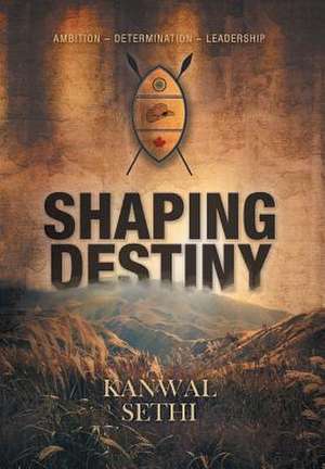 Shaping Destiny de Kanwal Sethi