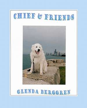 Chief & Friends de Glenda Berggren