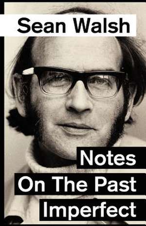 Notes on the Past Imperfect. de MR Sean Walsh