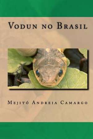 Vodun No Brasil de Mejit Andreia Camargo