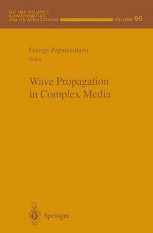 Wave Propagation in Complex Media de George Papanicolaou