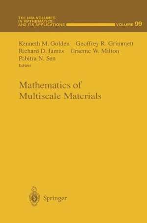 Mathematics of Multiscale Materials de Kenneth M. Golden