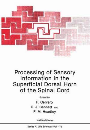 Processing of Sensory Information in the Superficial Dorsal Horn of the Spinal Cord de F. Cervero