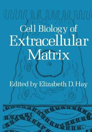 Cell Biology of Extracellular Matrix de Elizabeth D. Hay