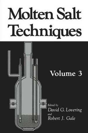 Molten Salt Techniques: Volume 3 de Robert J. Gale