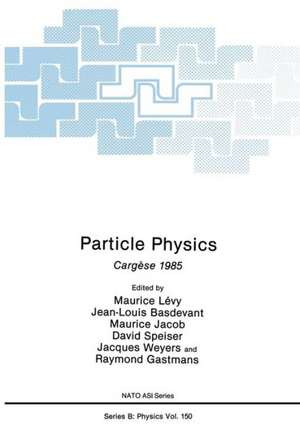 Particle Physics: Cargèse 1985 de Maurice Lévy