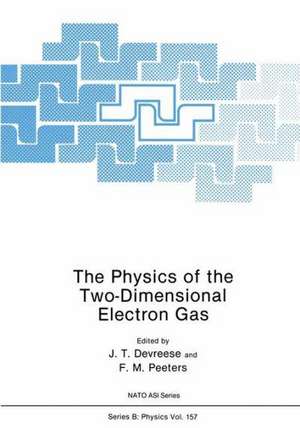 The Physics of the Two-Dimensional Electron Gas de J.T. Devreese