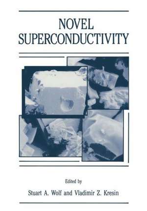 Novel Superconductivity de Stuart A. Wolf