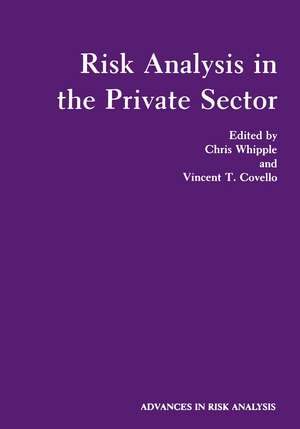 Risk Analysis in the Private Sector de Chris Whipple