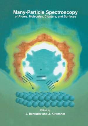 Many-Particle Spectroscopy of Atoms, Molecules, Clusters, and Surfaces de J. Berakdar