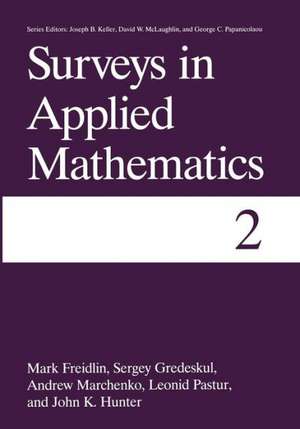 Surveys in Applied Mathematics: Volume 2 de Mark I. Freidlin