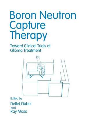 Boron Neutron Capture Therapy: Toward Clinical Trials of Glioma Treatment de Renate Alberts