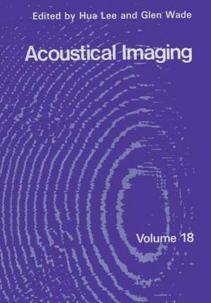 Acoustical Imaging de Hua Lee