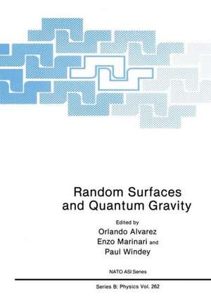 Random Surfaces and Quantum Gravity de Orlando Alvarez