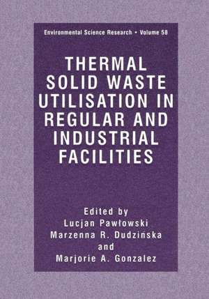 Thermal Solid Waste Utilisation in Regular and Industrial Facilities de Lucjan Pawlowski