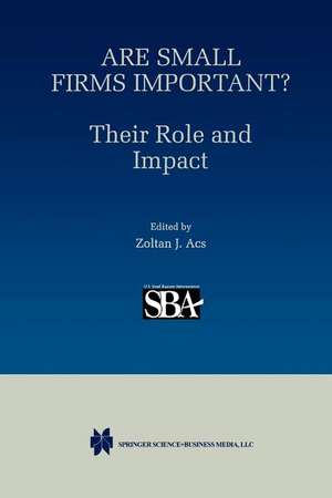 Are Small Firms Important? Their Role and Impact de Stephen Ackermann