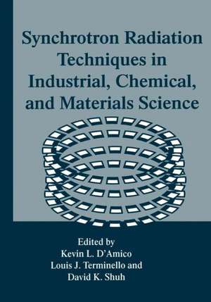 Synchrotron Radiation Techniques in Industrial, Chemical, and Materials Science de Kevin L. D'Amico