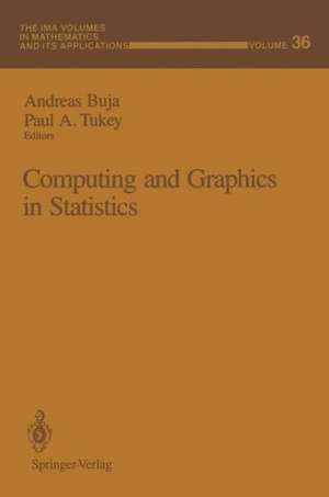 Computing and Graphics in Statistics de Andreas Buja