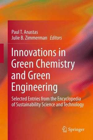 Innovations in Green Chemistry and Green Engineering: Selected Entries from the Encyclopedia of Sustainability Science and Technology de Paul T. Anastas