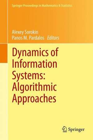 Dynamics of Information Systems: Algorithmic Approaches de Alexey Sorokin