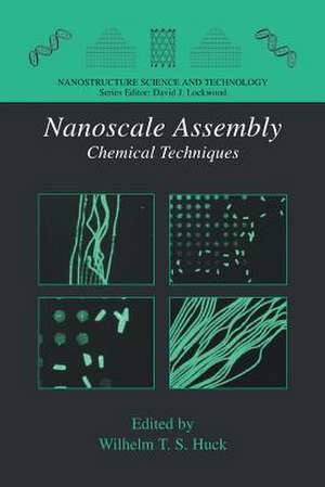 Nanoscale Assembly: Chemical Techniques de Wilhelm T.S. Huck