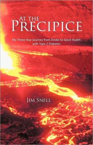 At the Precipice de Jim Snell